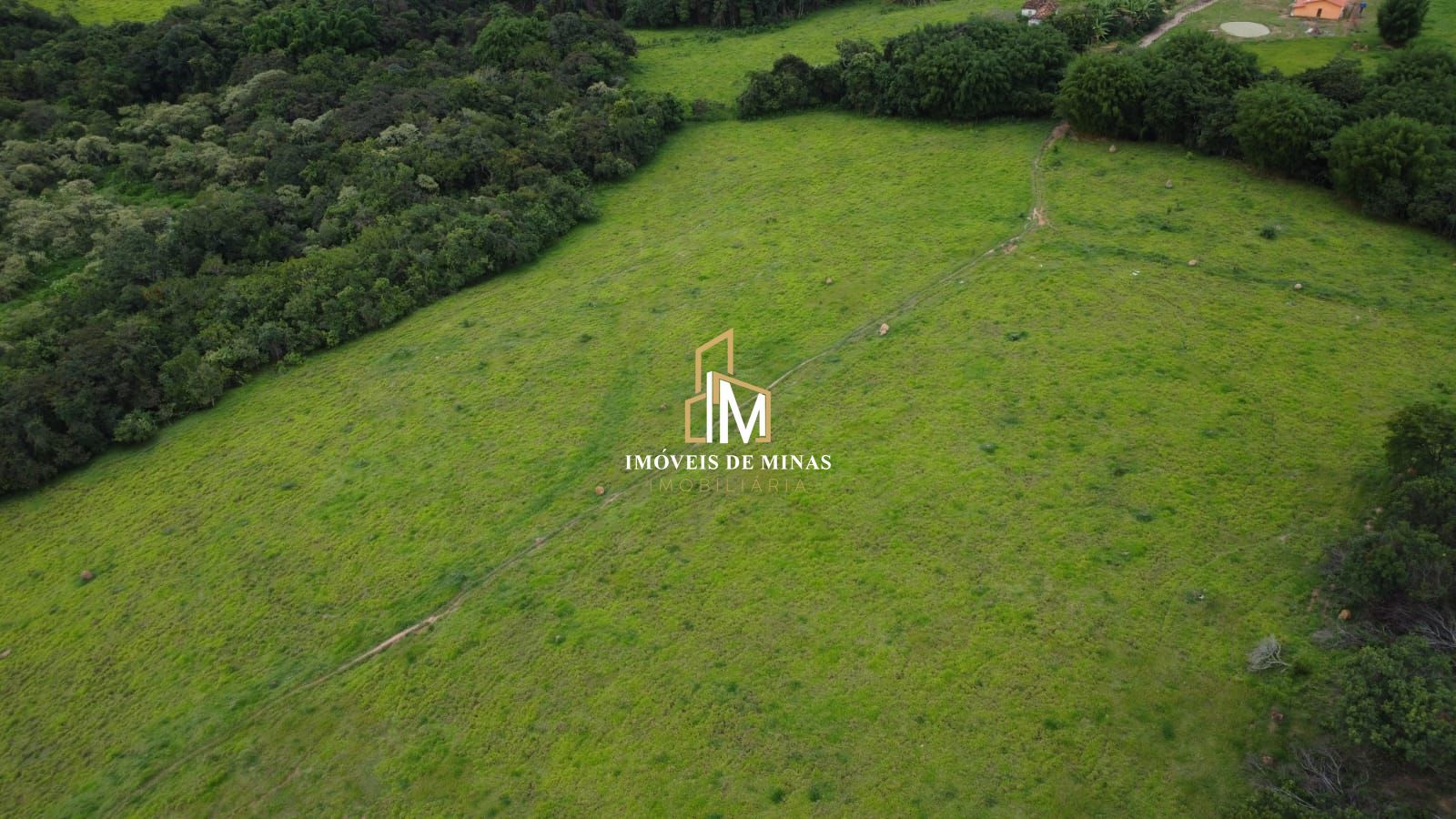Fazenda à venda com 3 quartos, 310000m² - Foto 13