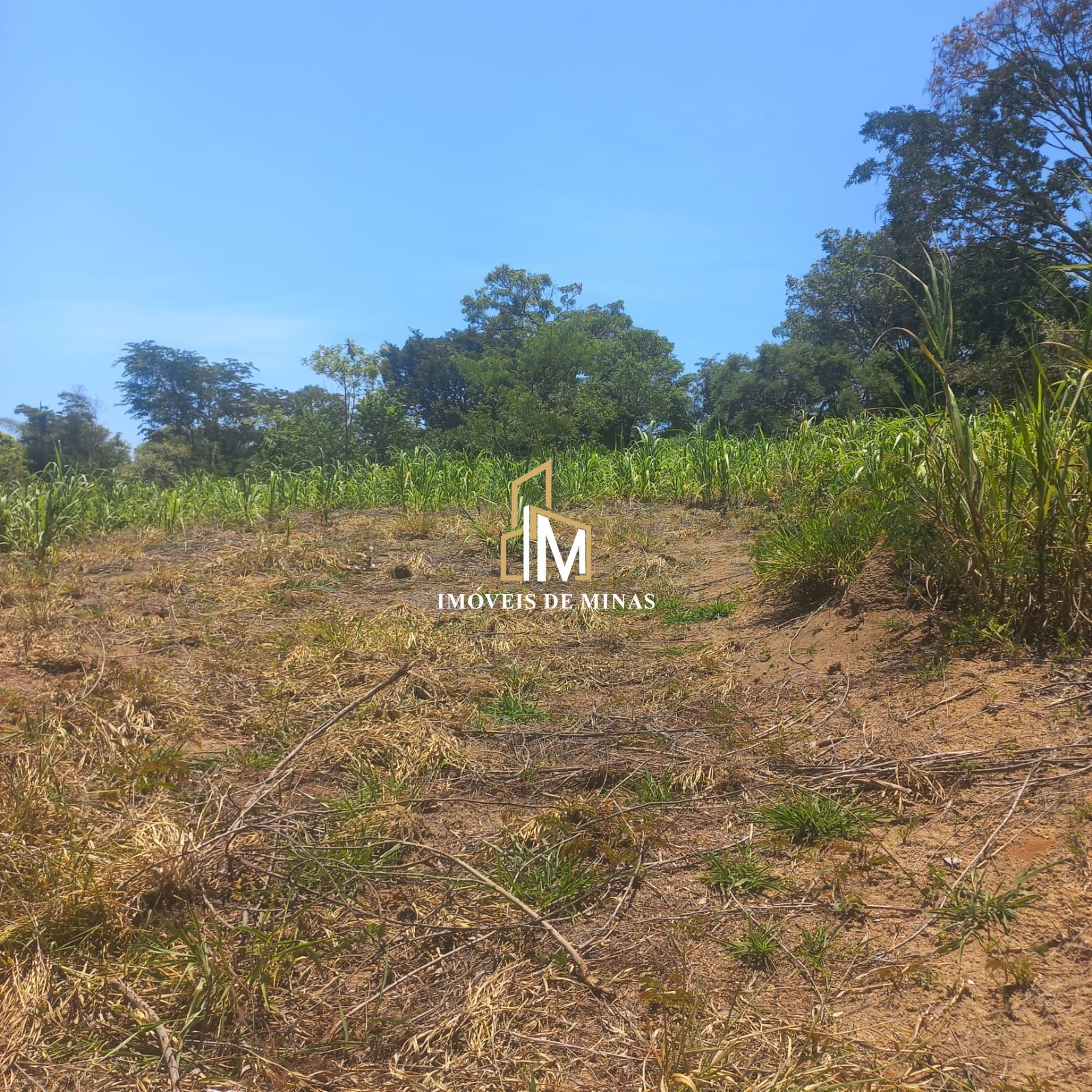 img35289762