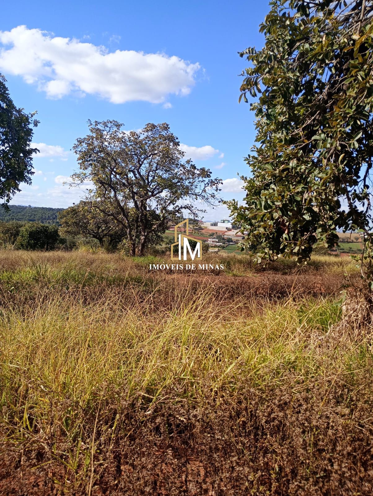 Terreno à venda, 1000m² - Foto 6