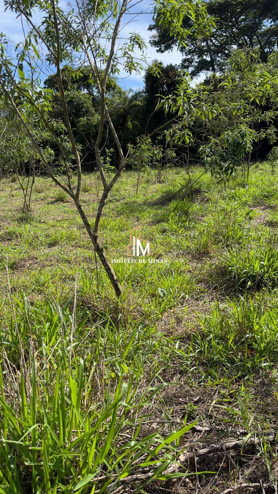 img64070807