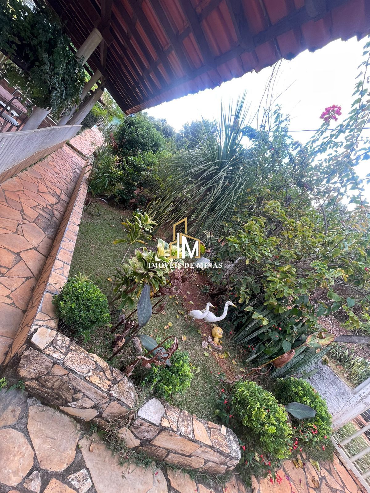 img30454453