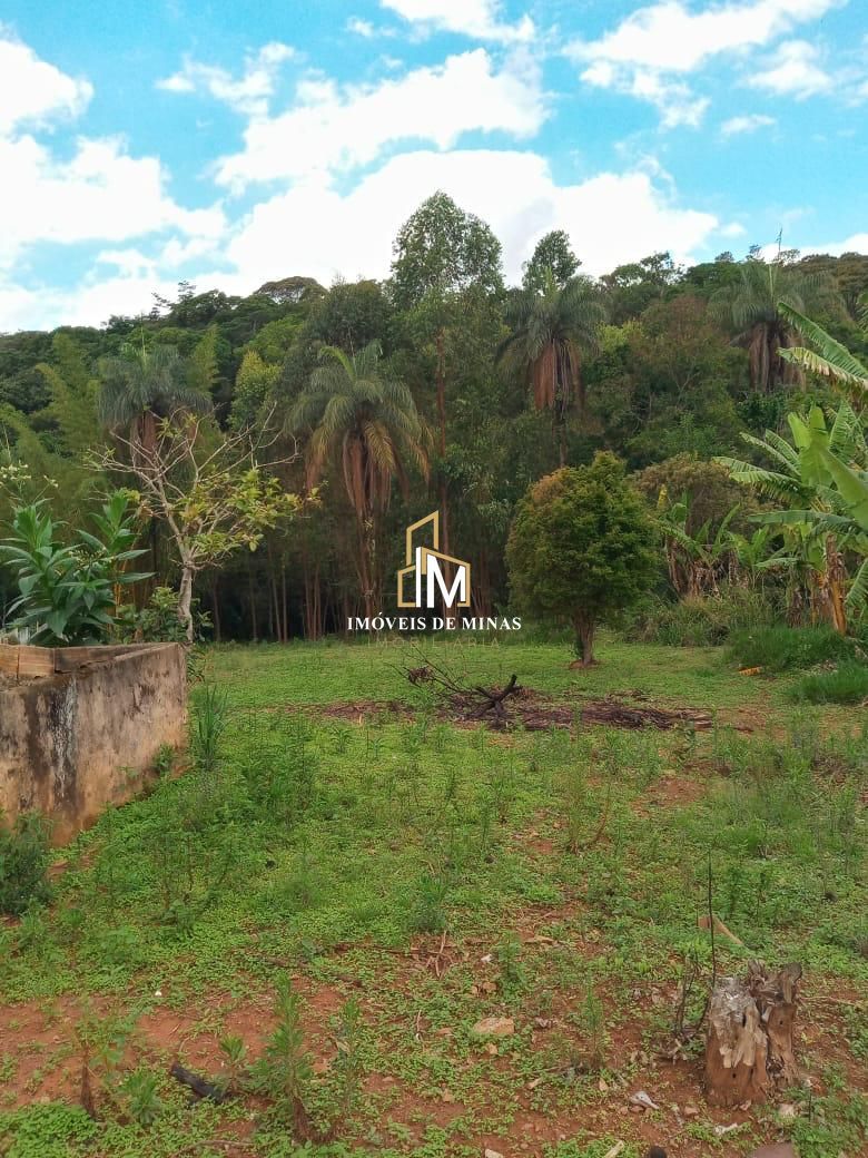 Fazenda à venda com 4 quartos, 6000m² - Foto 11