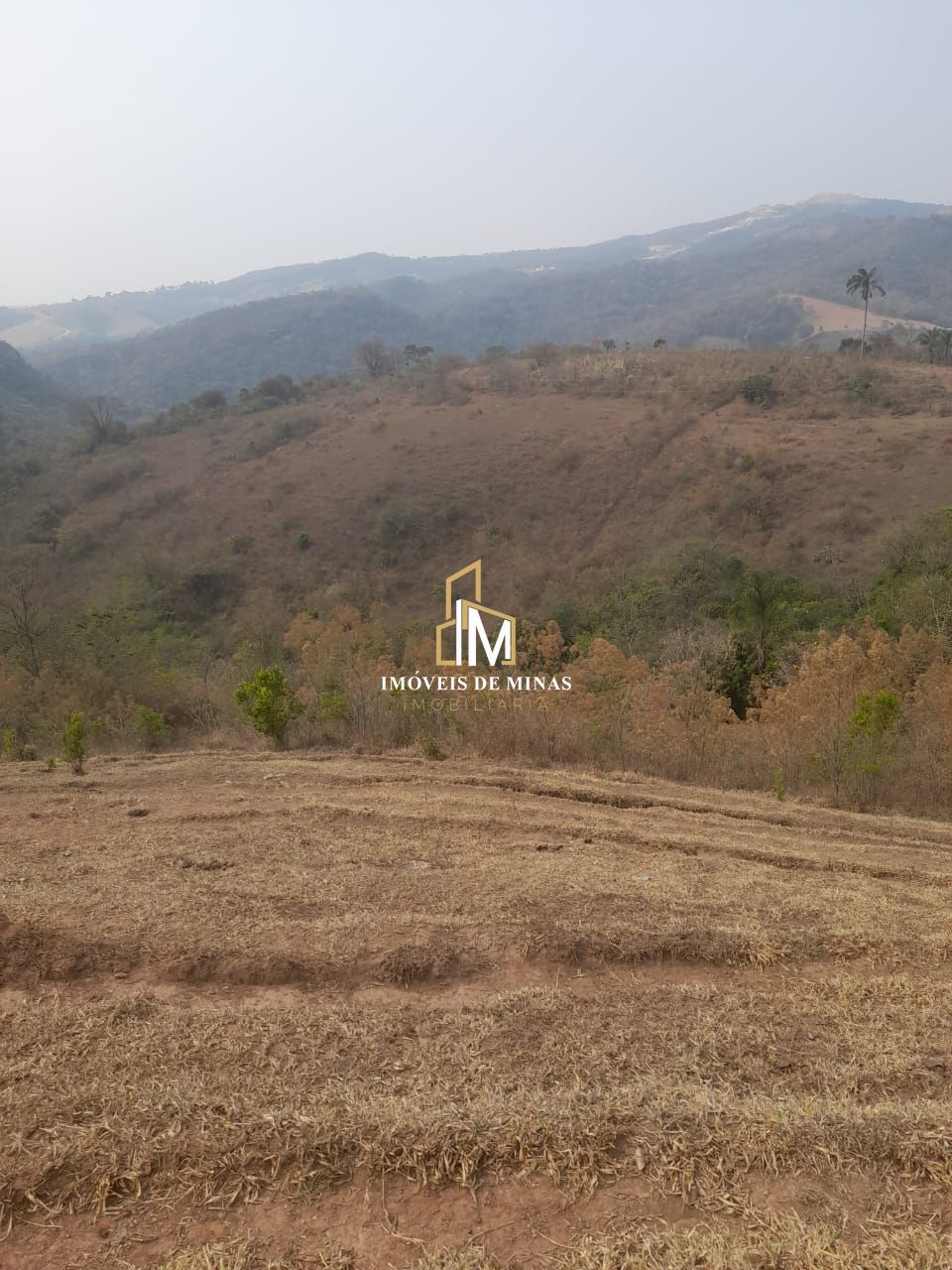 img86543721