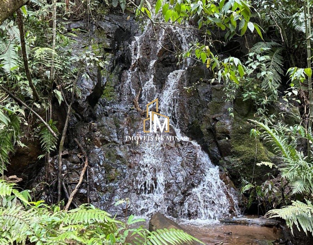 img64776090