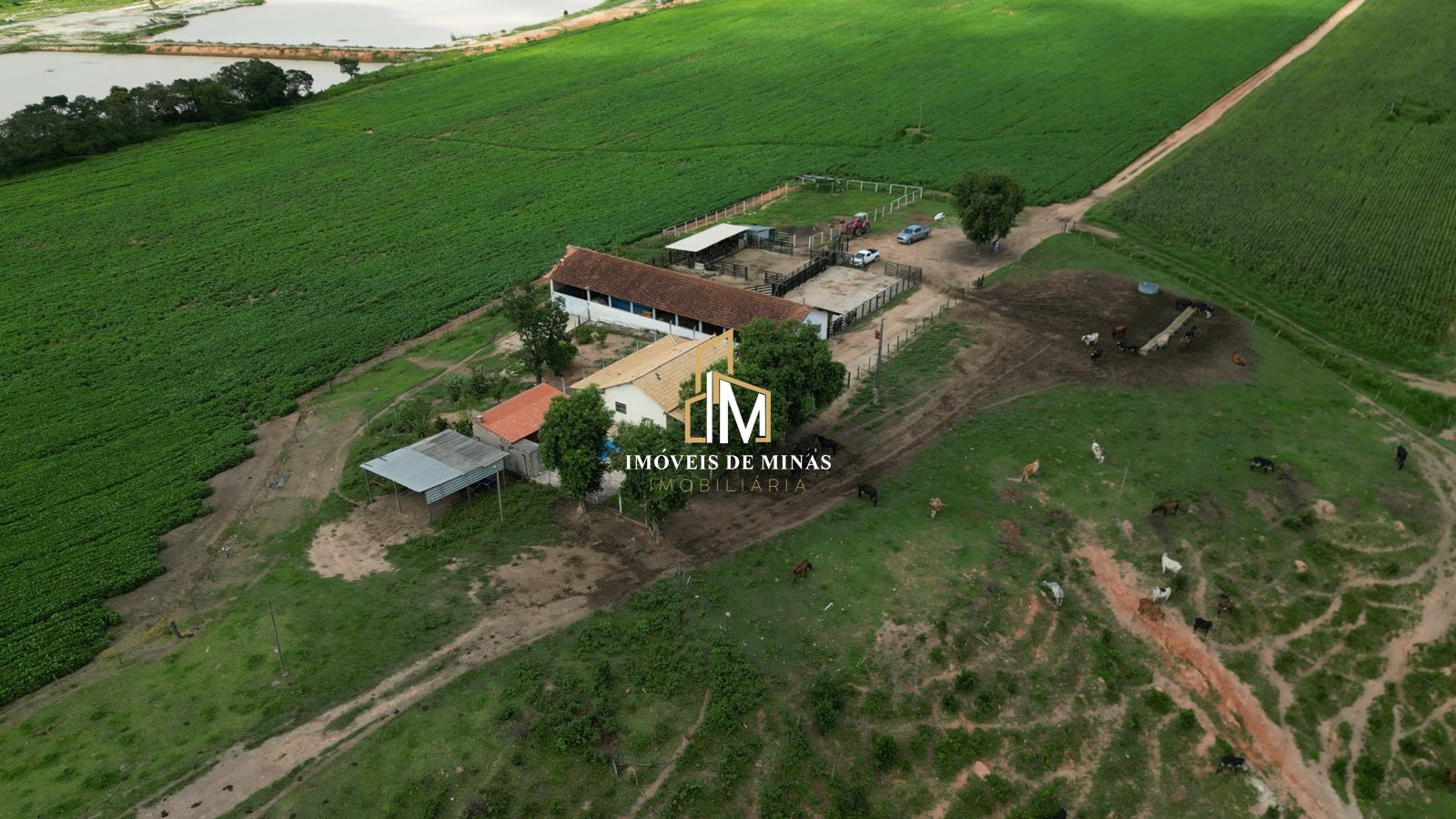 Fazenda à venda com 2 quartos, 17500000000m² - Foto 3