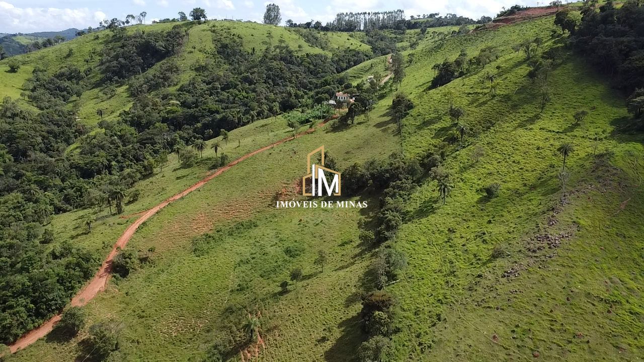 Fazenda à venda com 4 quartos, 4400000000m² - Foto 11