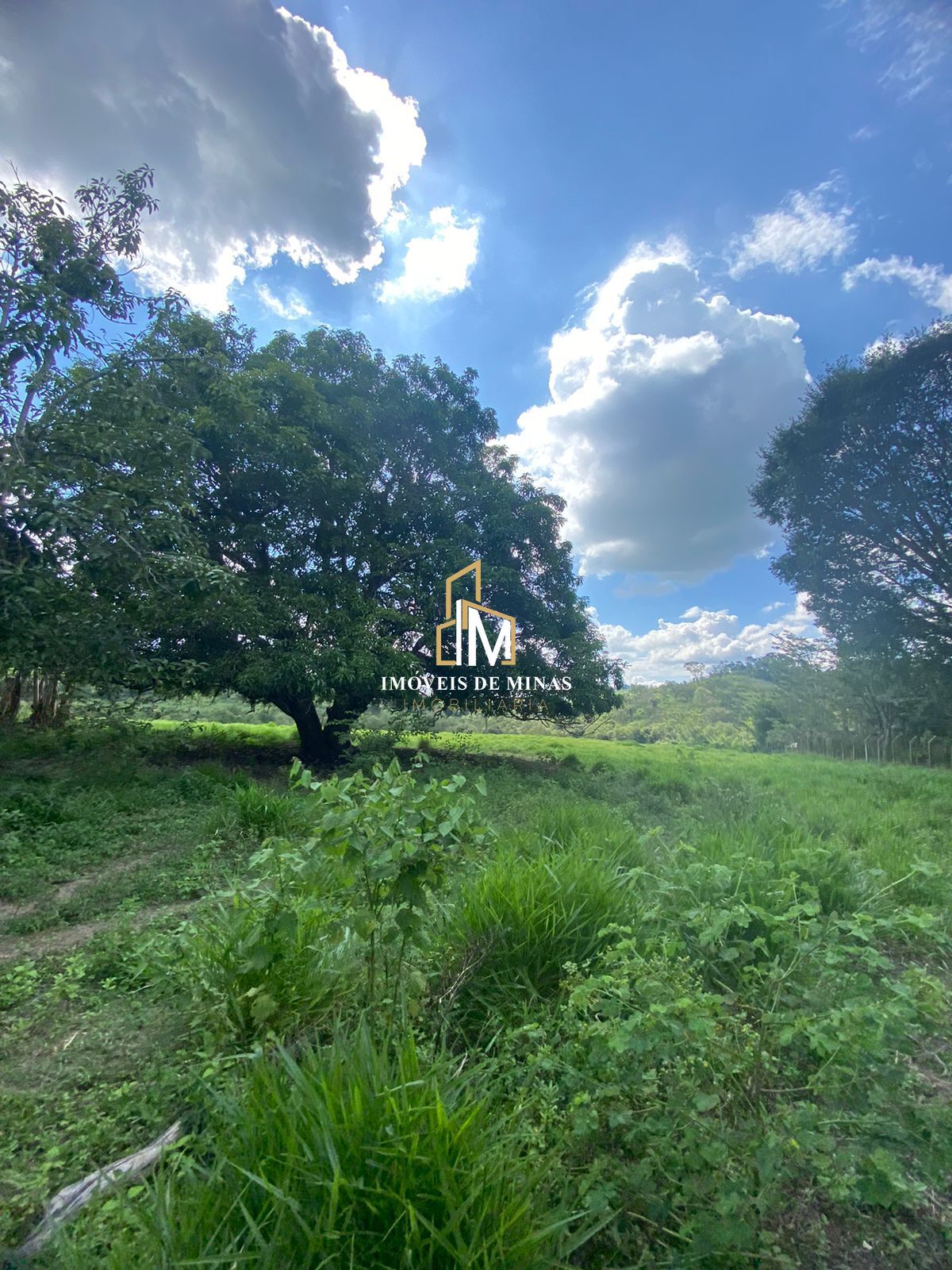 Terreno à venda, 30000m² - Foto 4