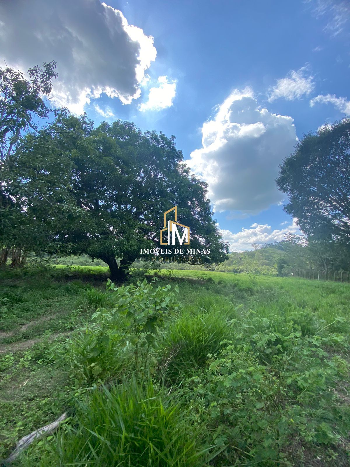 Lote/Terreno de 30000m² no bairro Zona Rural, em Bonfim | Eu Corretor