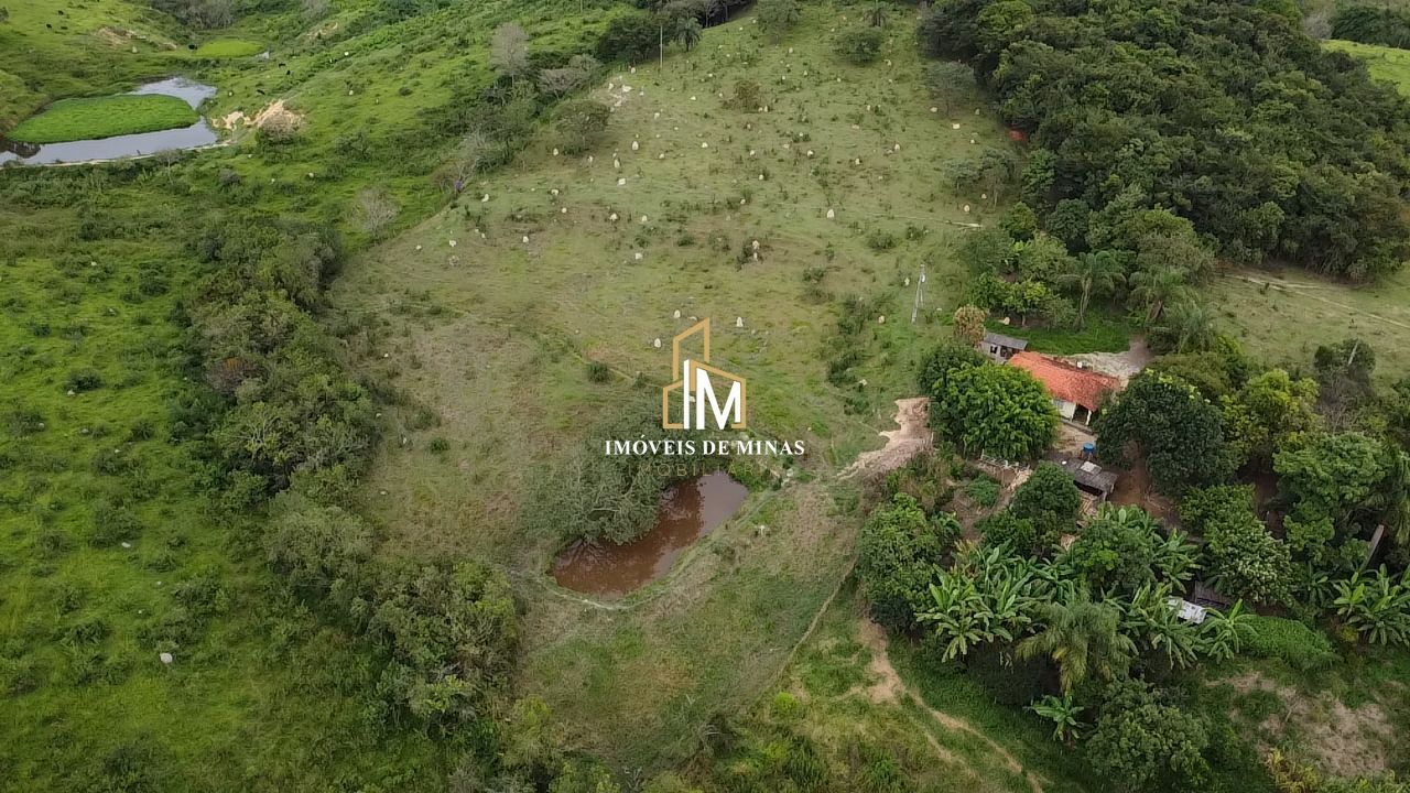 Fazenda à venda com 3 quartos, 260000000m² - Foto 3