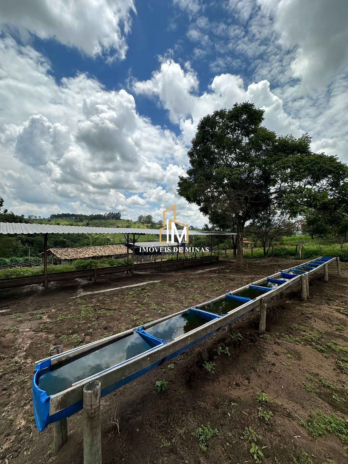 Fazenda à venda com 4 quartos, 1500000000m² - Foto 26