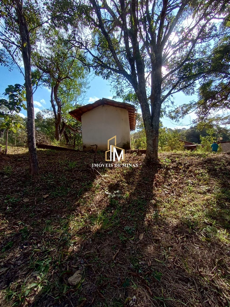 Sítio à venda com 5 quartos, 3600m² - Foto 19