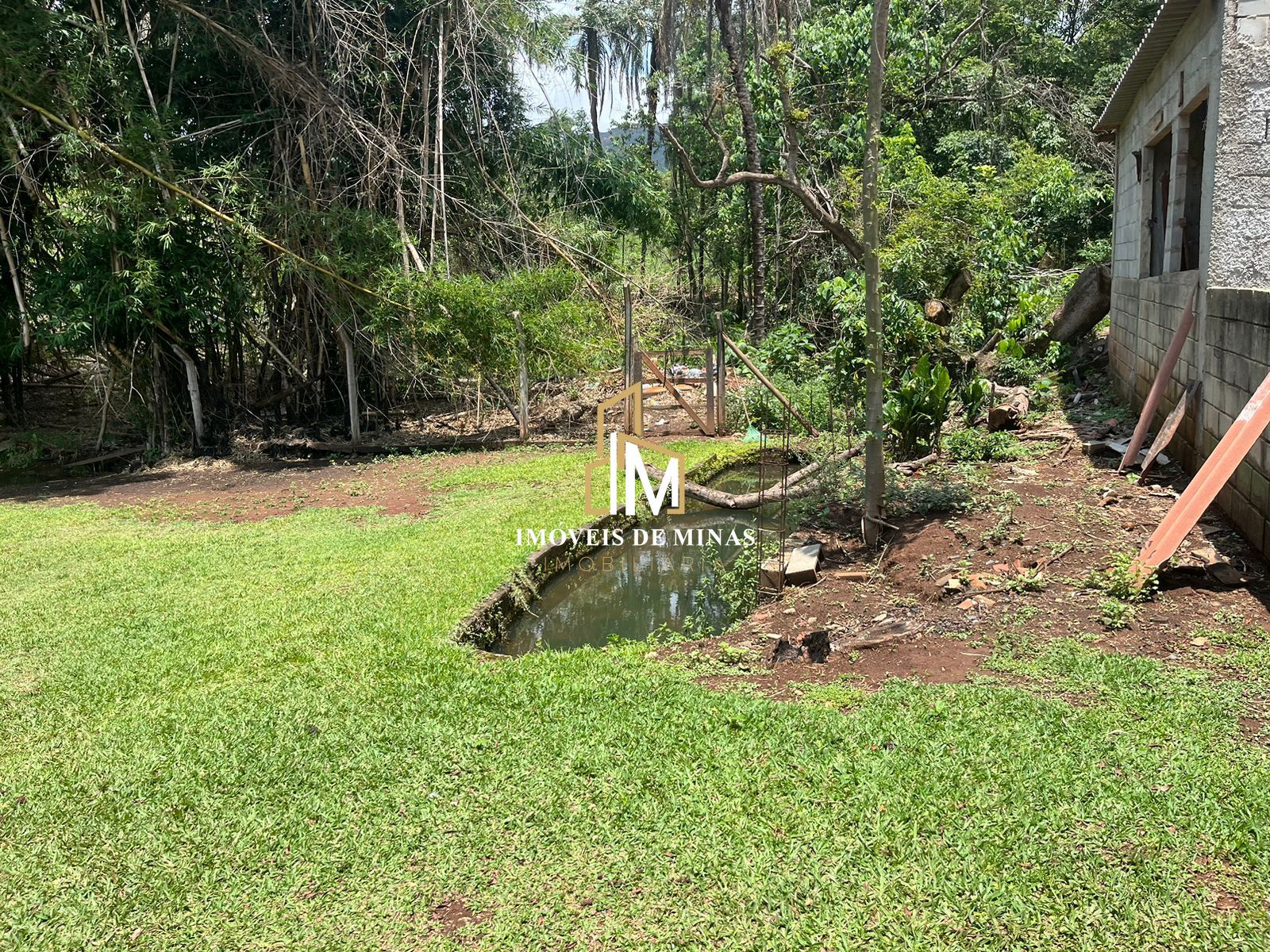 Fazenda à venda com 4 quartos, 16000m² - Foto 14