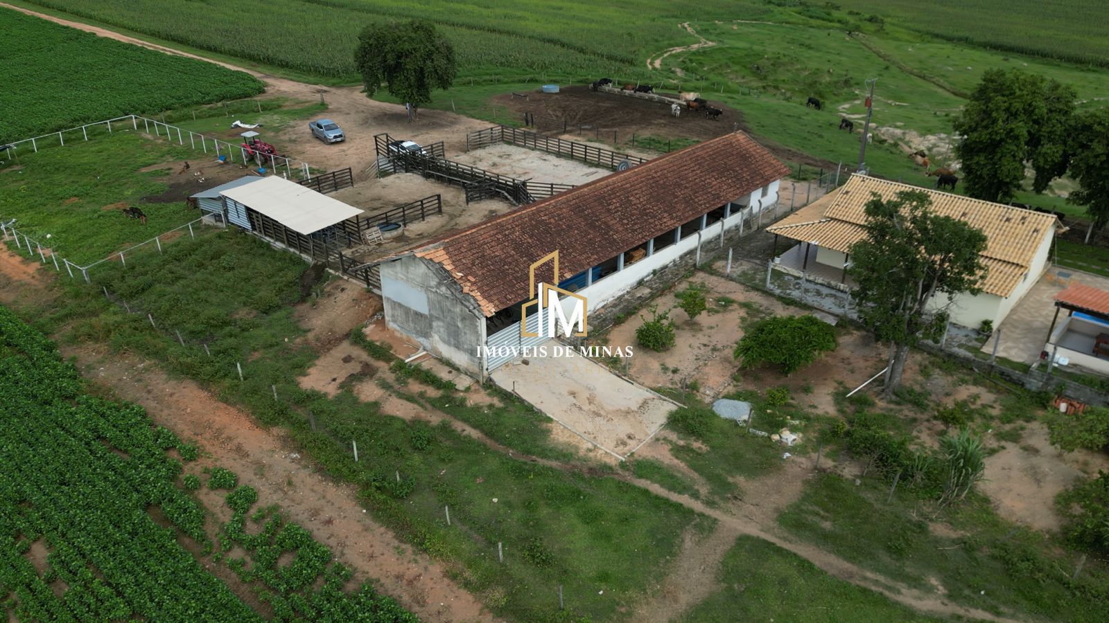 Fazenda à venda com 2 quartos, 17500000000m² - Foto 2