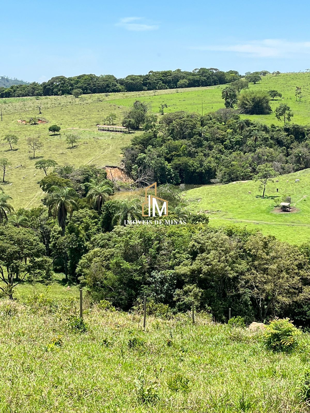 Fazenda à venda com 7 quartos, 14600000000m² - Foto 25