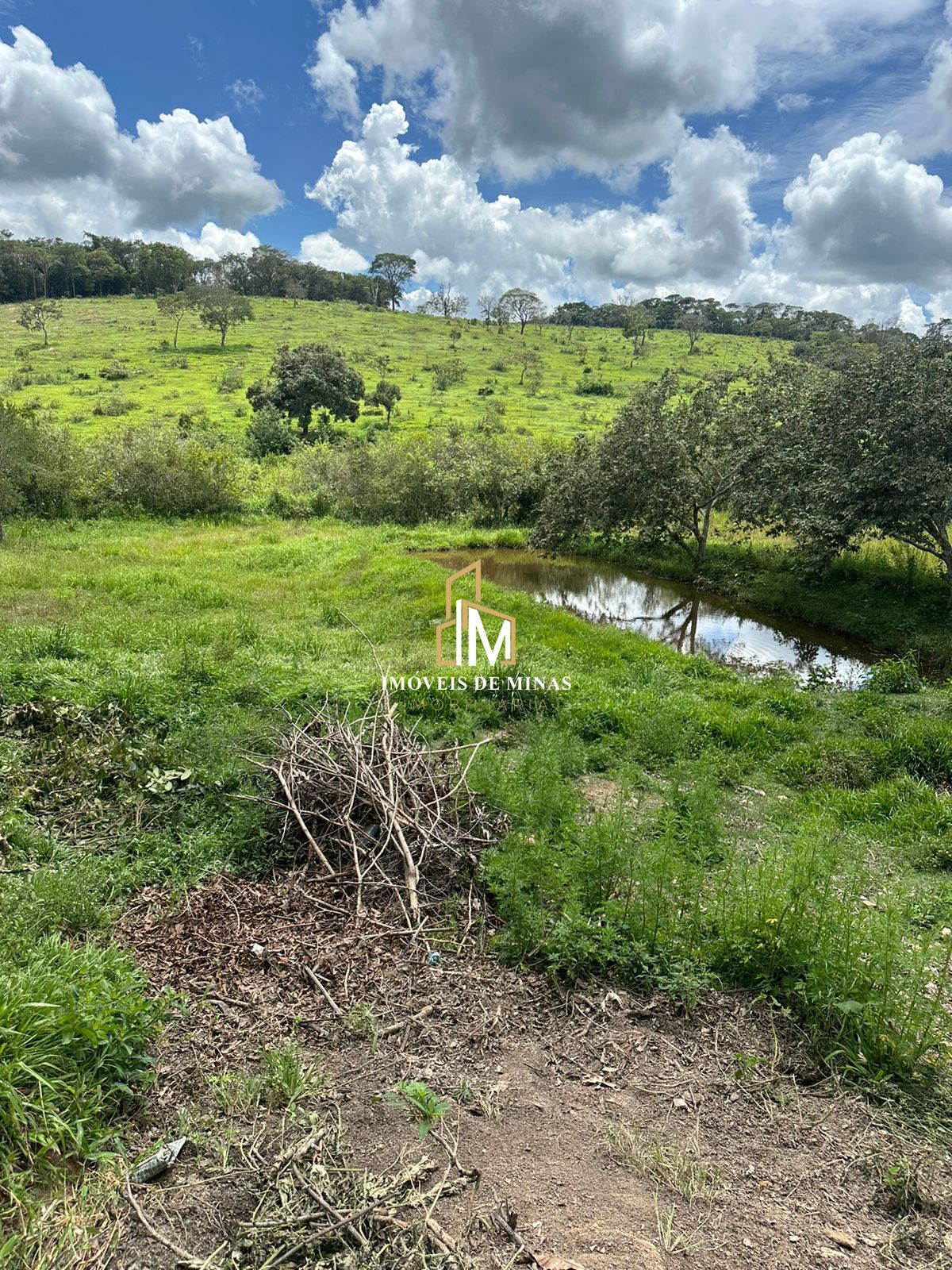 Fazenda à venda com 3 quartos, 260000000m² - Foto 17