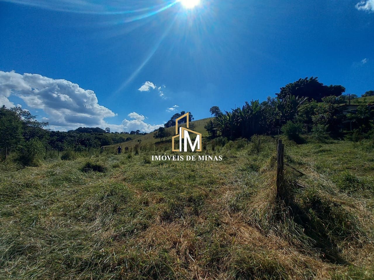 Fazenda à venda com 3 quartos, 80000m² - Foto 9