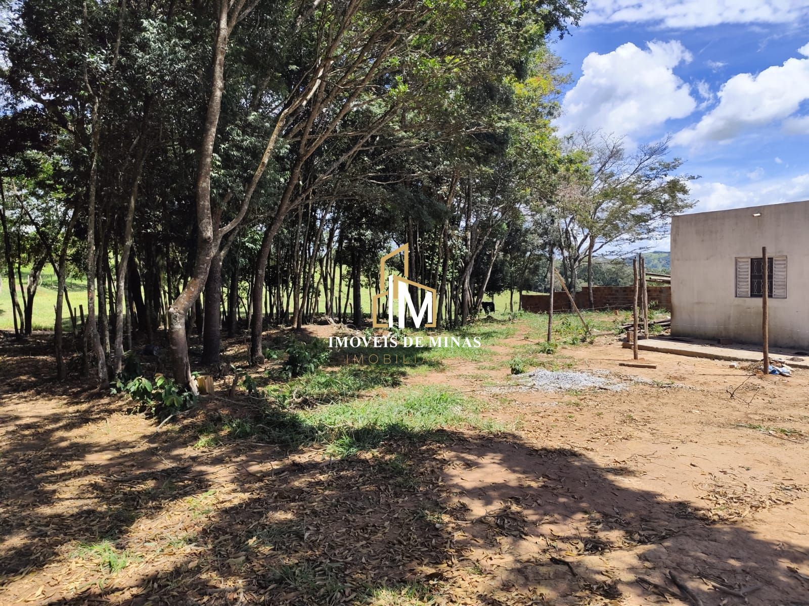 Fazenda à venda com 2 quartos, 1800m² - Foto 10