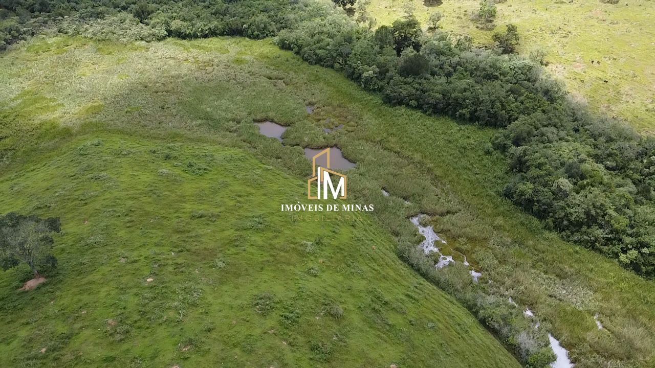 Fazenda à venda com 4 quartos, 450000m² - Foto 15