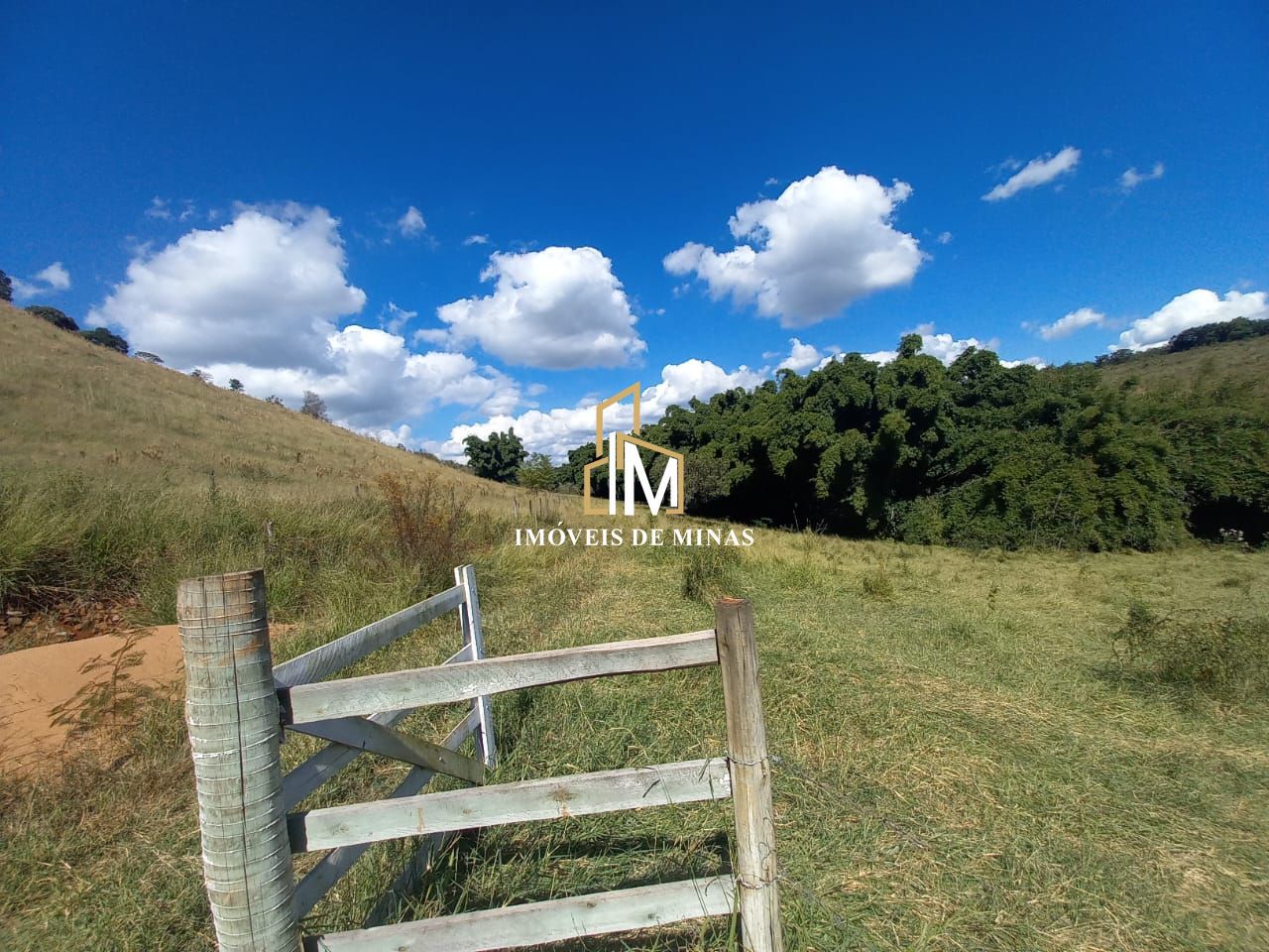 Fazenda à venda com 3 quartos, 80000m² - Foto 7