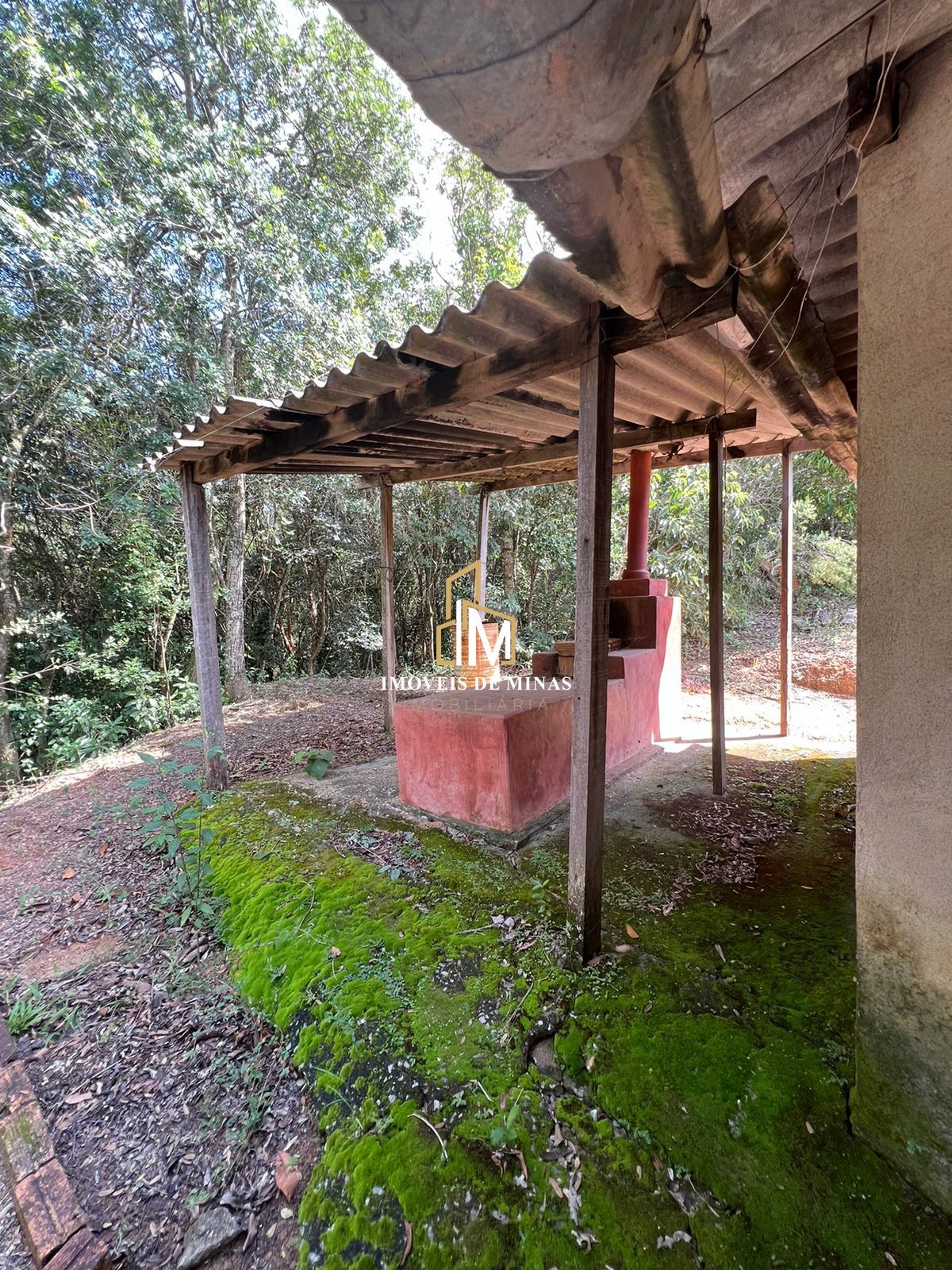 Fazenda à venda com 3 quartos, 300000000m² - Foto 11