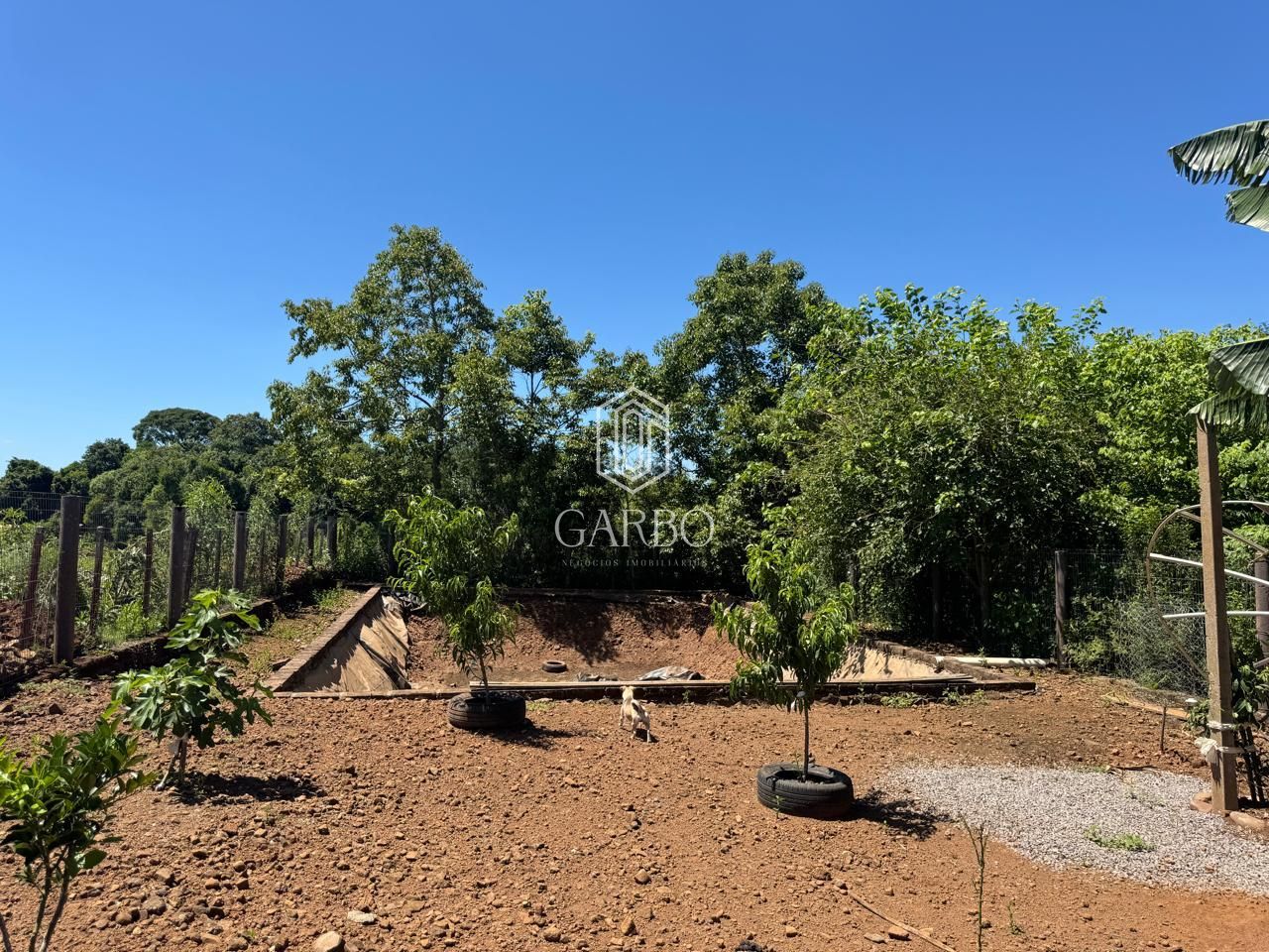 Chácara, 2 quartos, 1281 m² - Foto 25