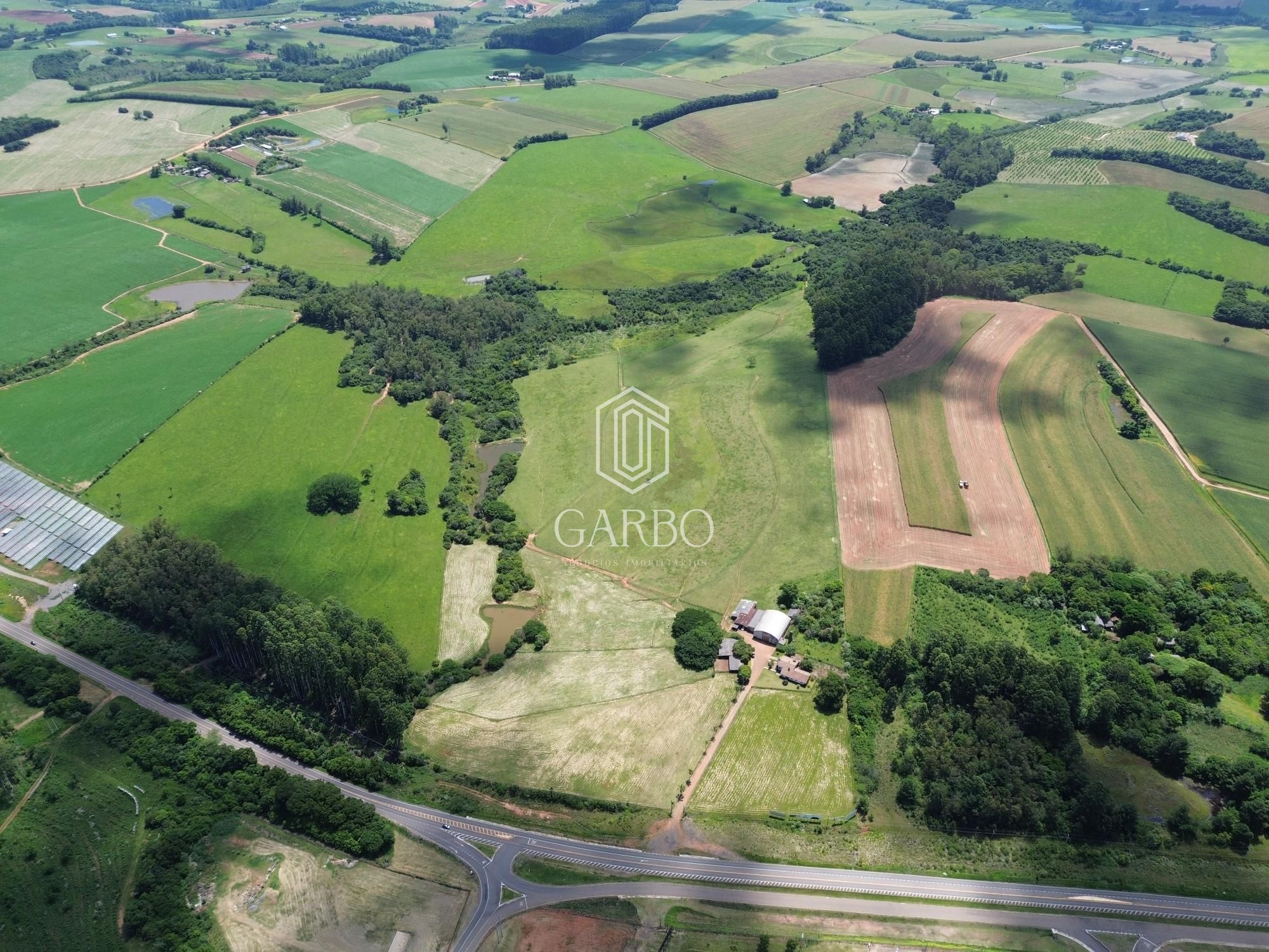 Loja-Salão, 1625 m² - Foto 2