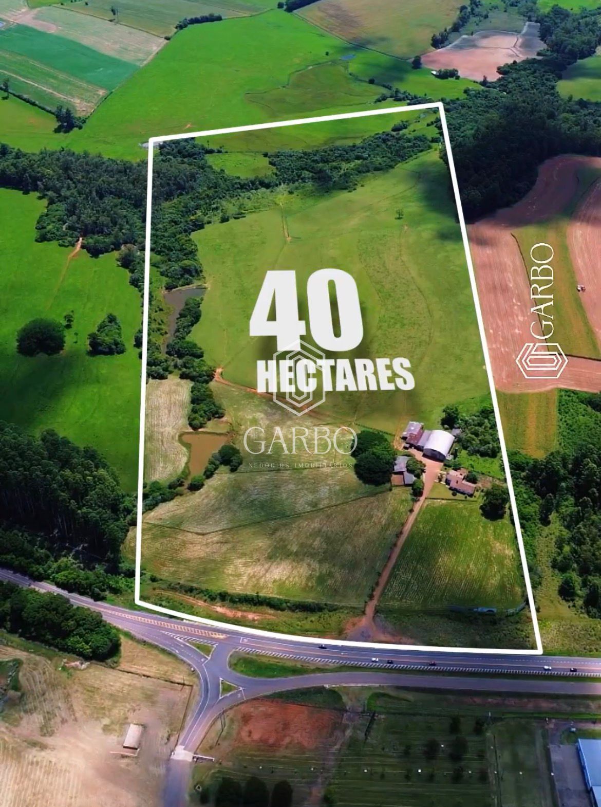 Sítio, 5 quartos, 40 hectares - Foto 1