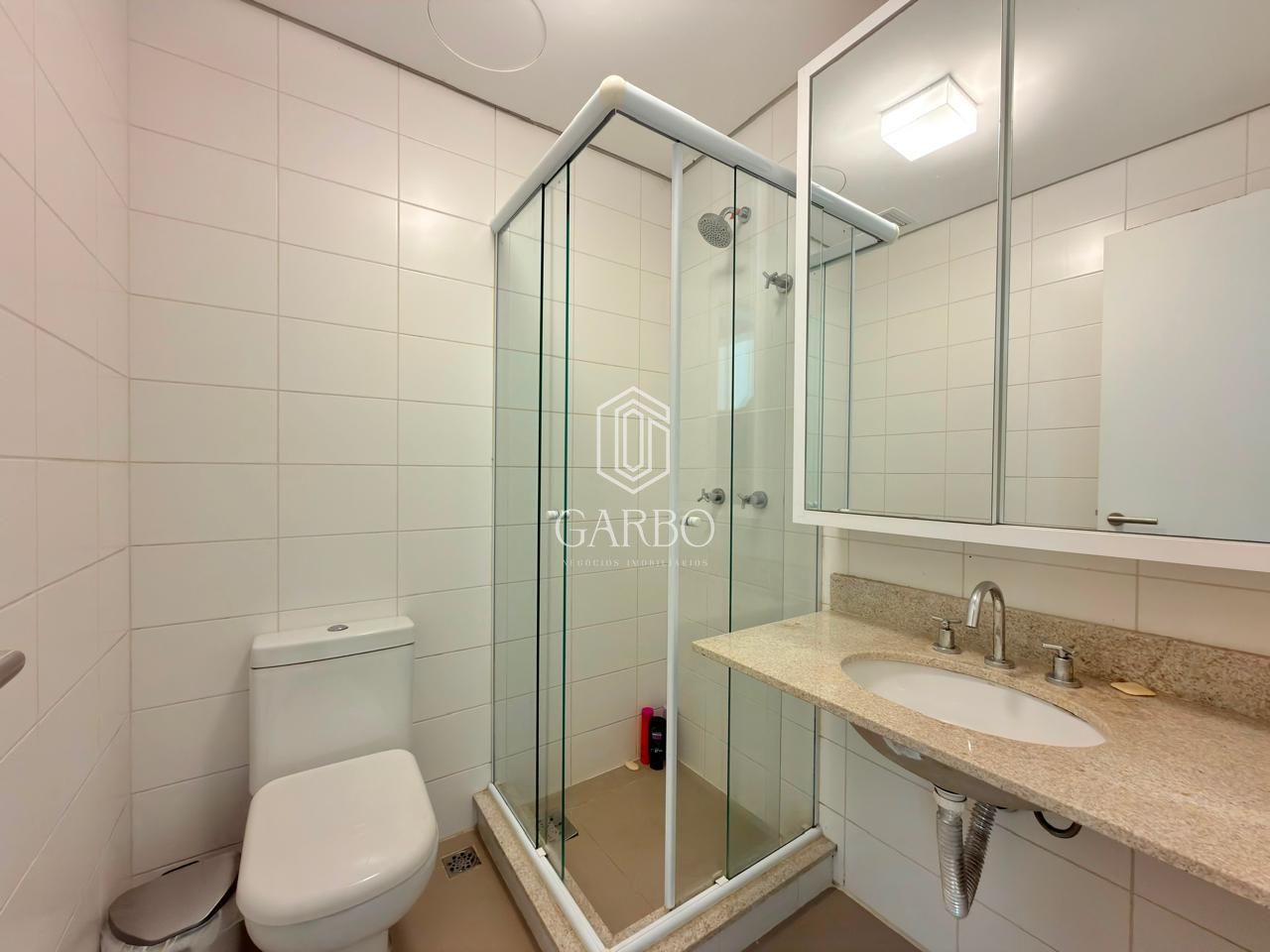 Casa, 4 quartos, 335 m² - Foto 41