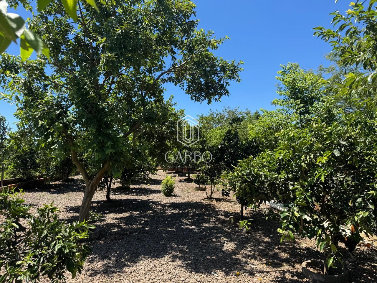 Chácara, 2 quartos, 1281 m² - Foto 23