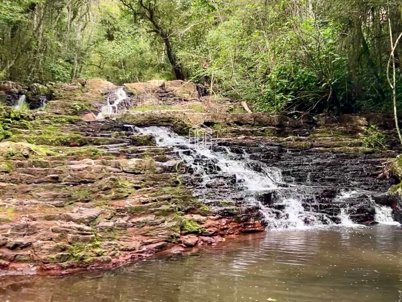 Fazenda à venda com 3 quartos, 18000m² - Foto 13