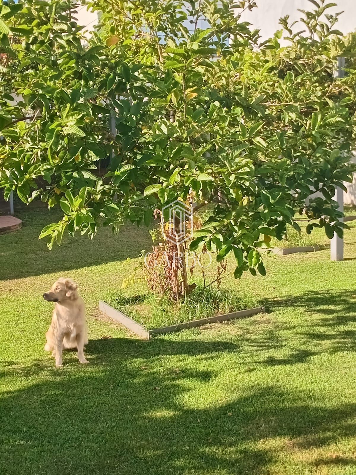 Terreno, 411 m² - Foto 2