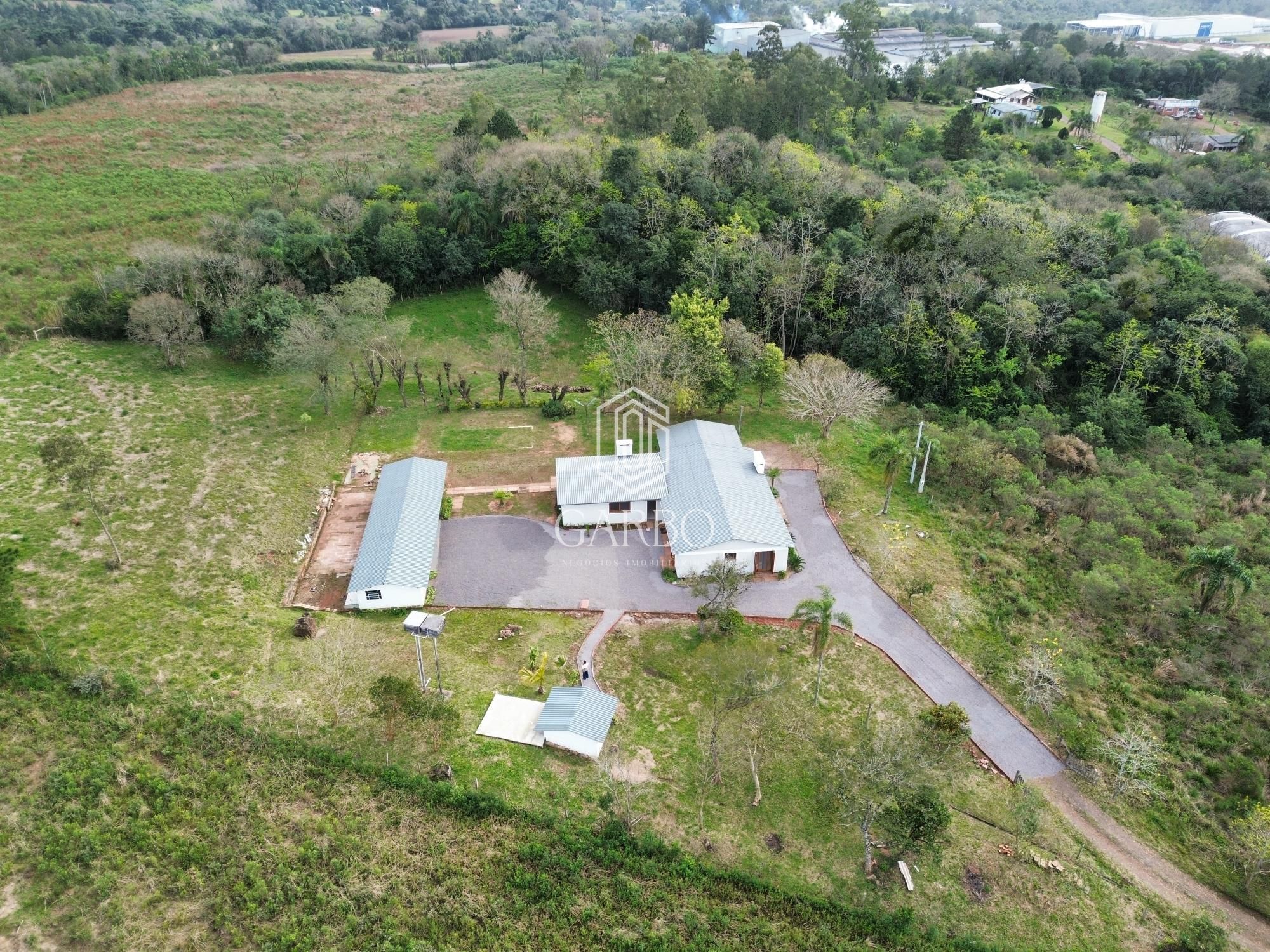 Sítio, 3 quartos, 9962 m² - Foto 16