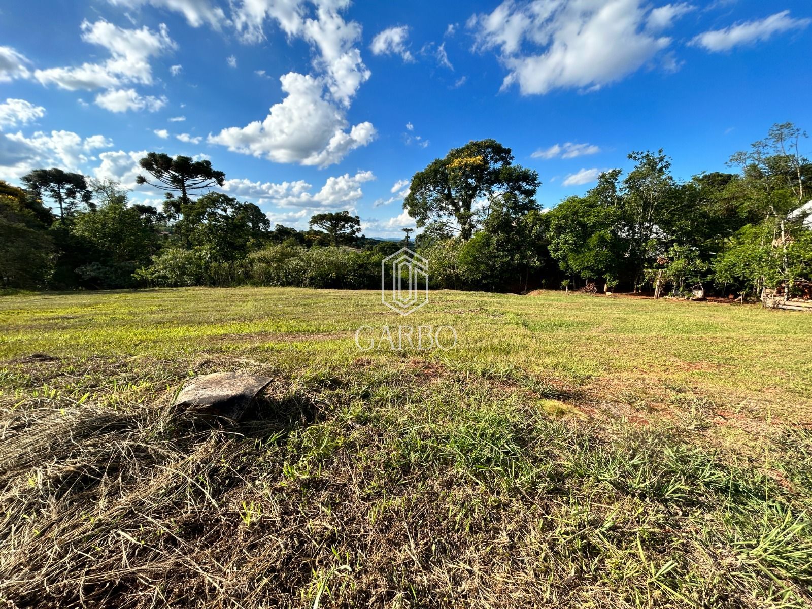 Terreno à venda, 562m² - Foto 1