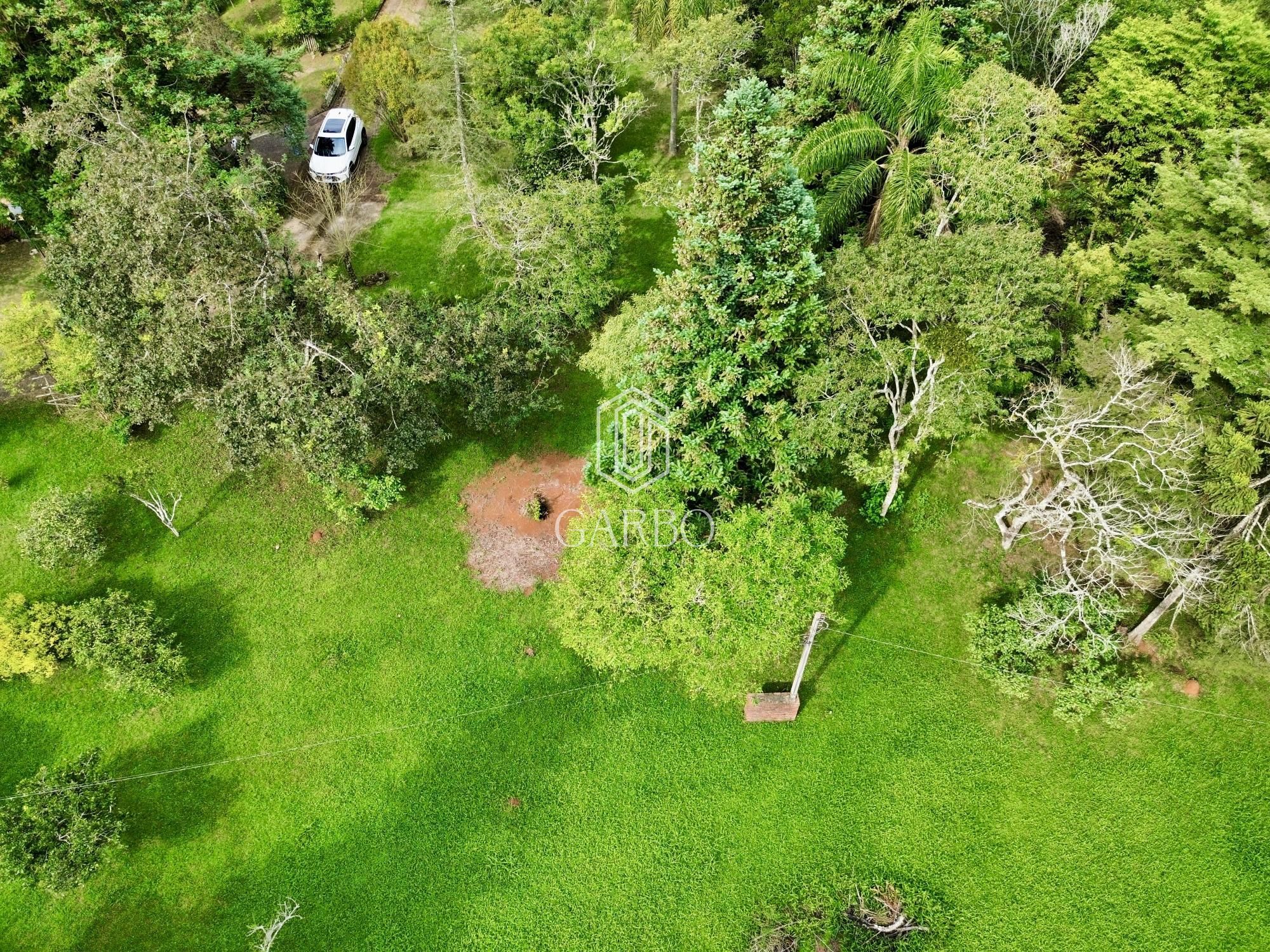 Fazenda à venda com 3 quartos, 18000m² - Foto 5