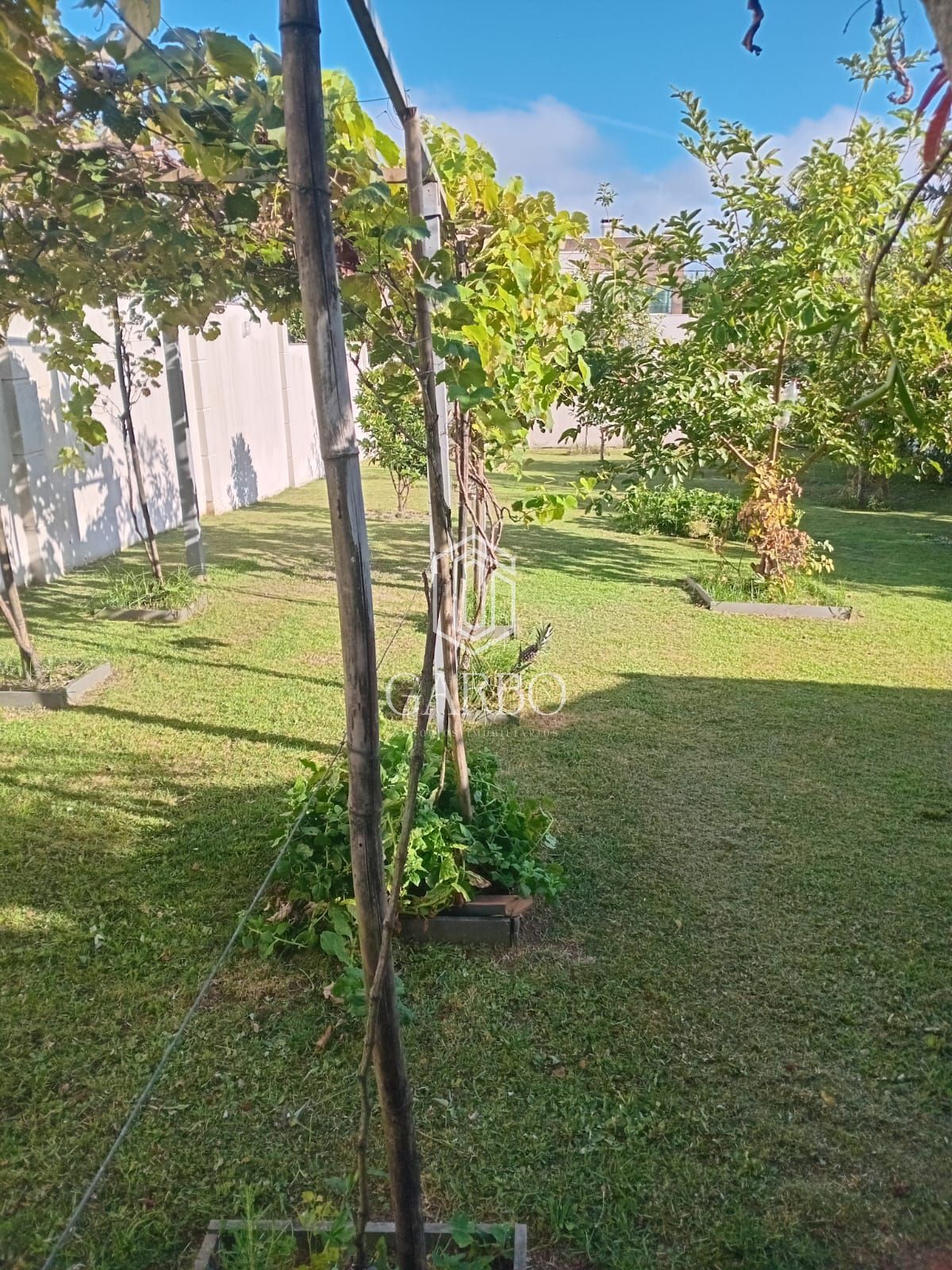 Terreno, 411 m² - Foto 6