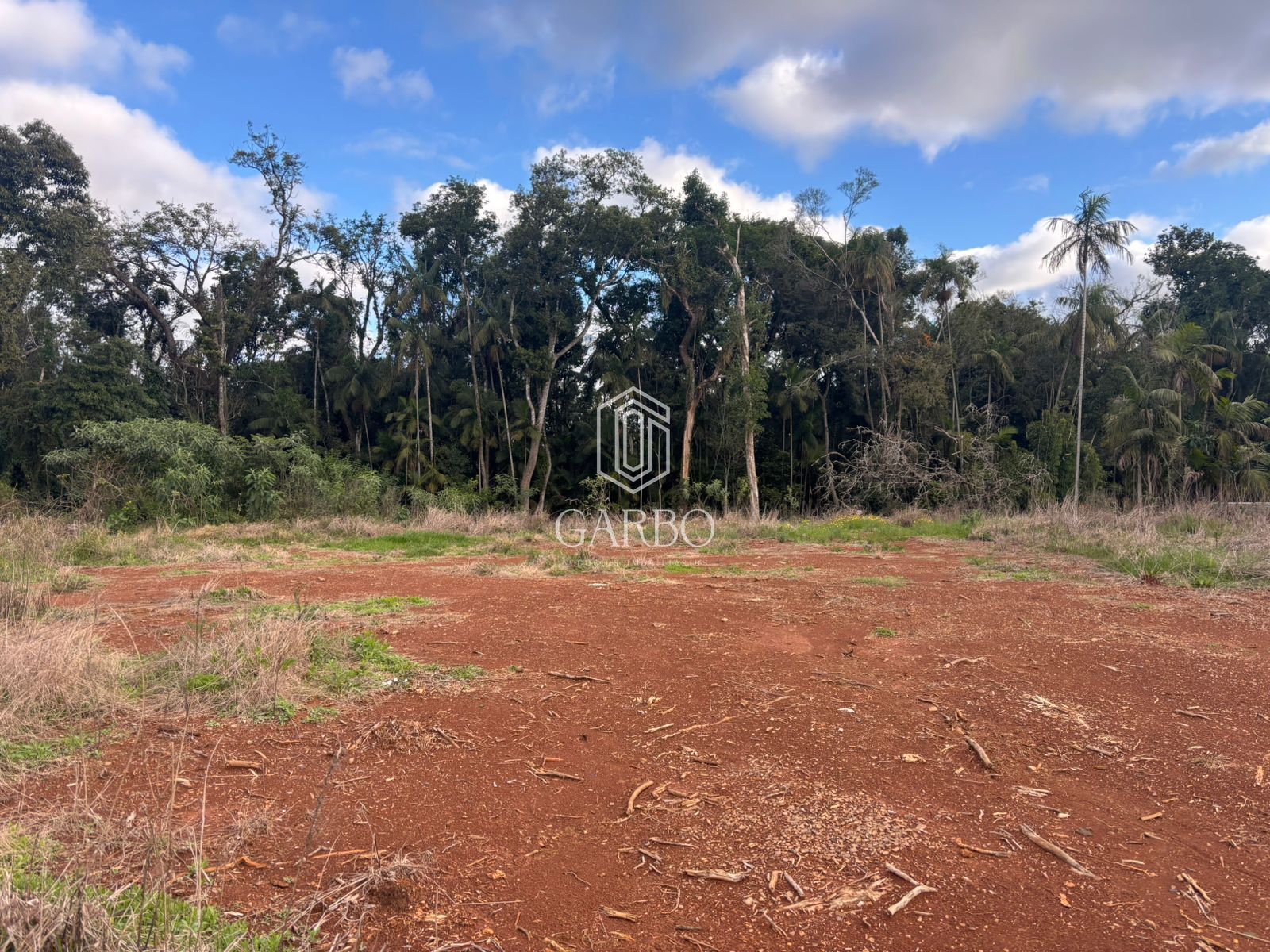 TERRENO EM LINHA JOÃO ALVES