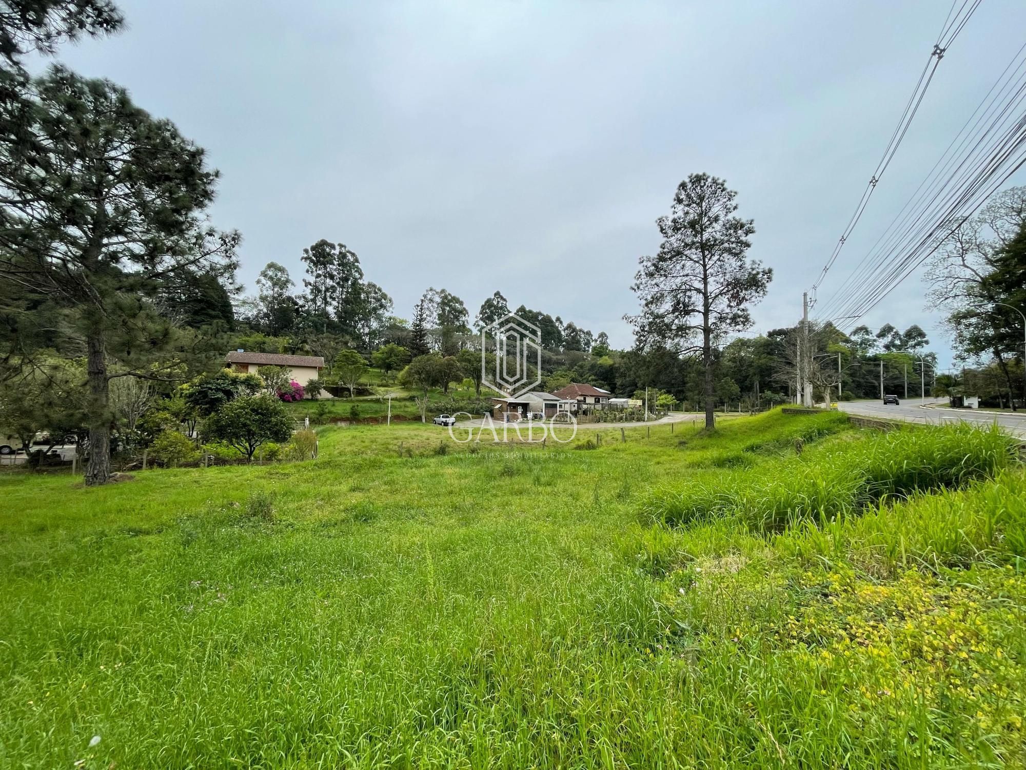 Terreno à venda, 2000m² - Foto 3