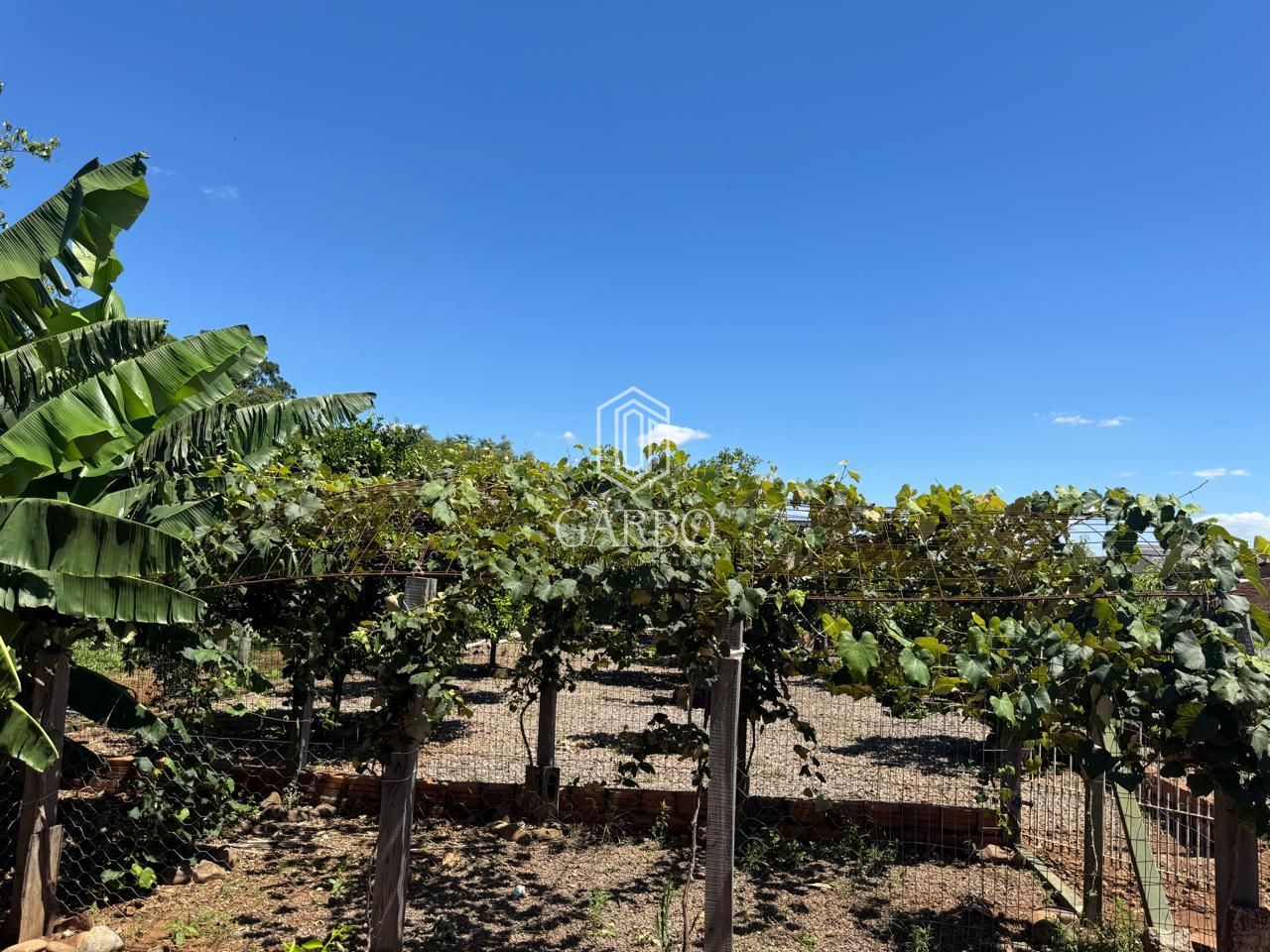 Chácara, 2 quartos, 1281 m² - Foto 24