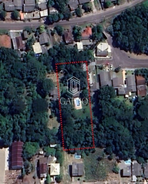 Sítio, 1 quarto, 3100 m² - Foto 1