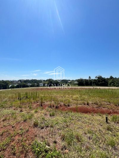 Terreno, 329 m² - Foto 2