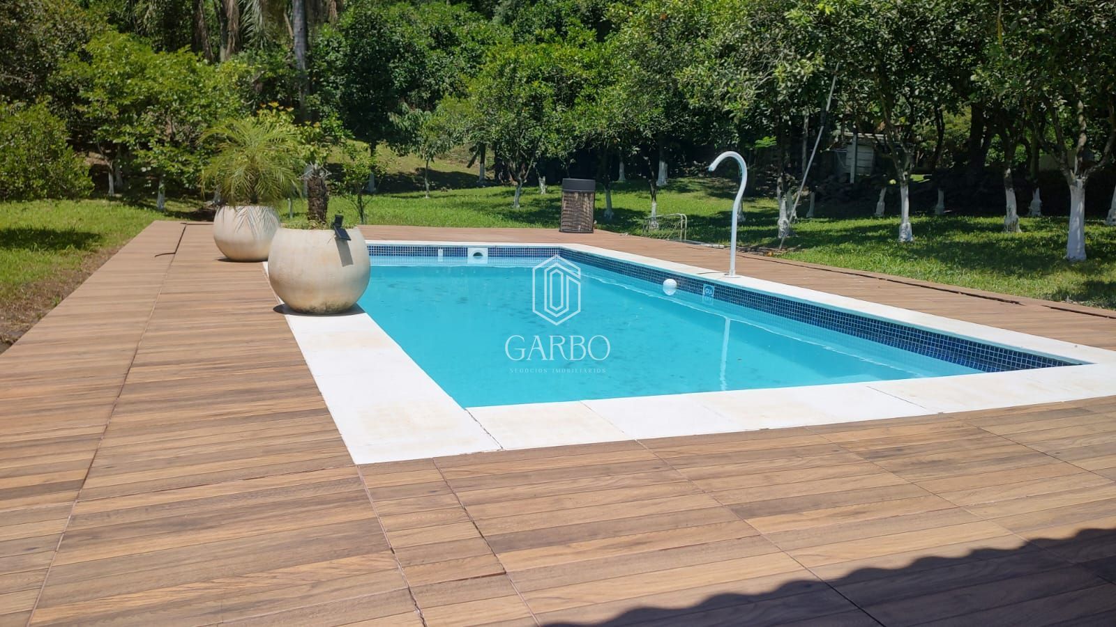 Sítio, 1 quarto, 3100 m² - Foto 3