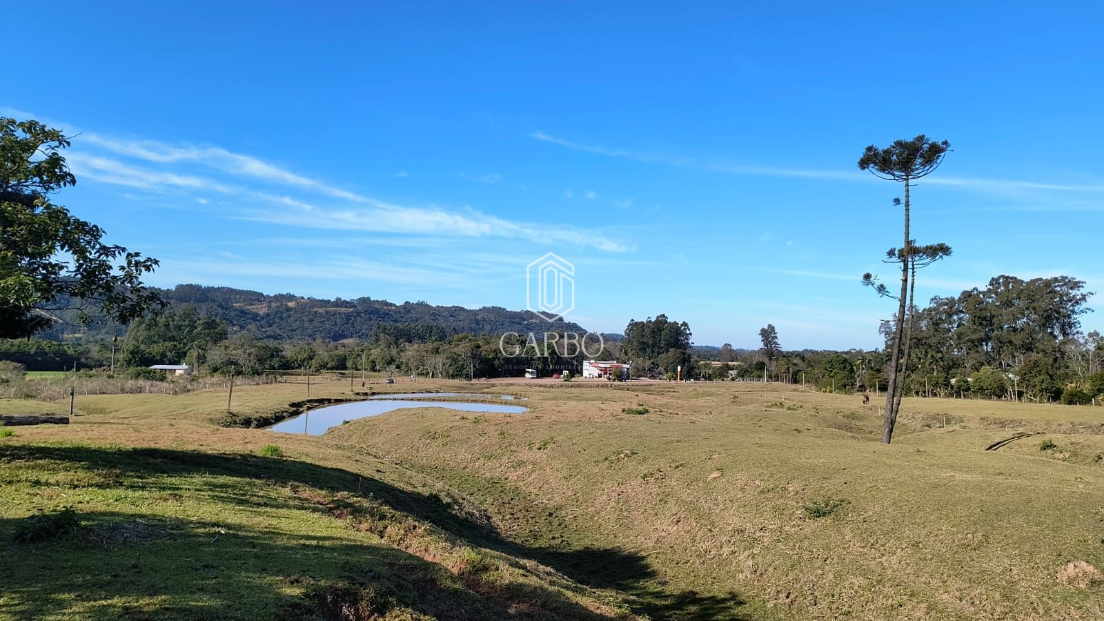 Chácara à venda com 3 quartos, 134000m² - Foto 7