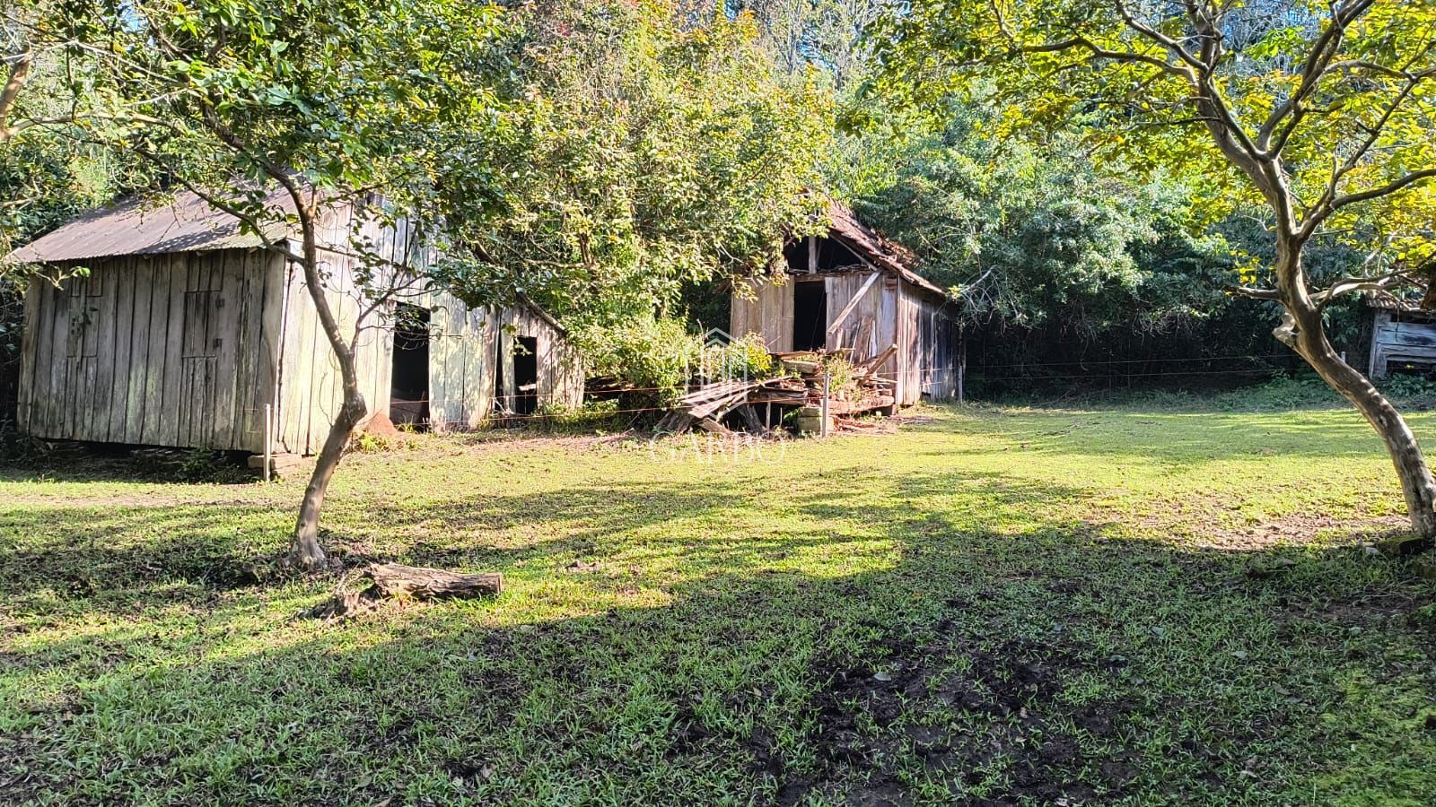 Chácara à venda com 3 quartos, 134000m² - Foto 10