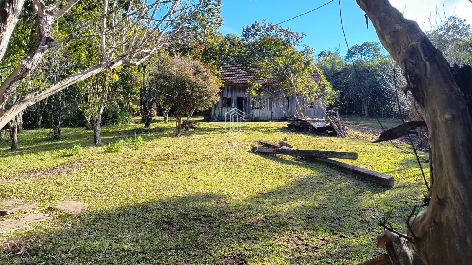 Chácara à venda com 3 quartos, 134000m² - Foto 6