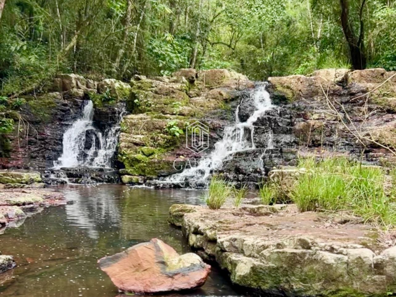 Fazenda à venda com 3 quartos, 18000m² - Foto 14