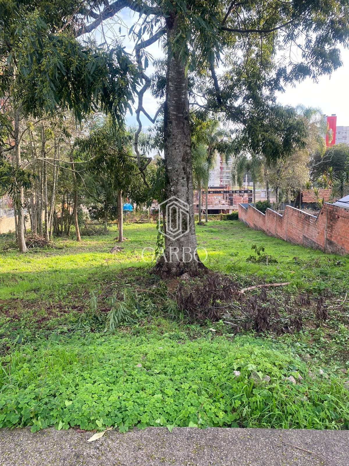 Amplo Terreno no Jardim Europa
