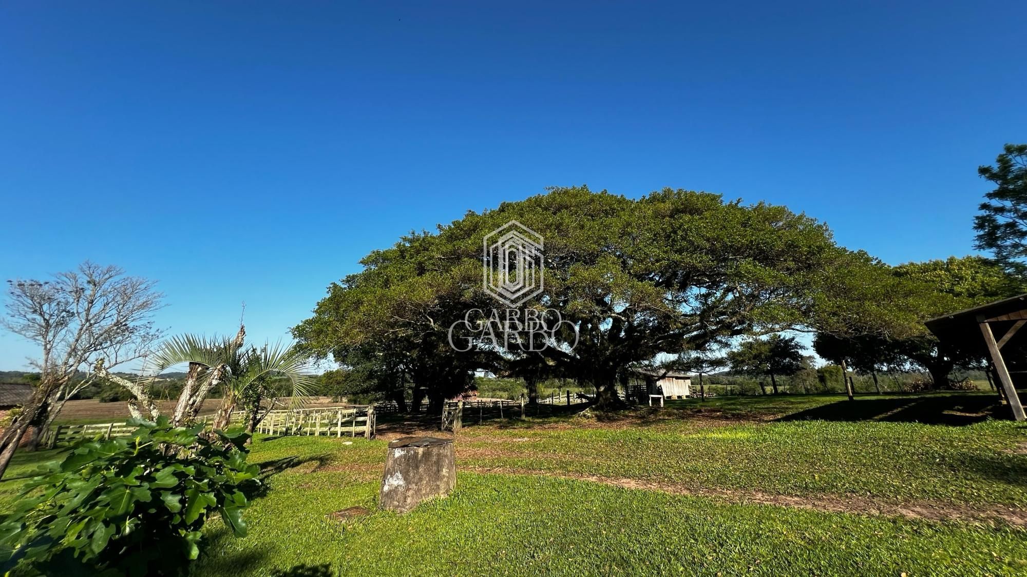 Fazenda à venda com 3 quartos, 70000m² - Foto 1