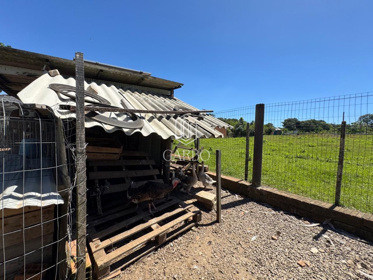 Chácara, 2 quartos, 1281 m² - Foto 27