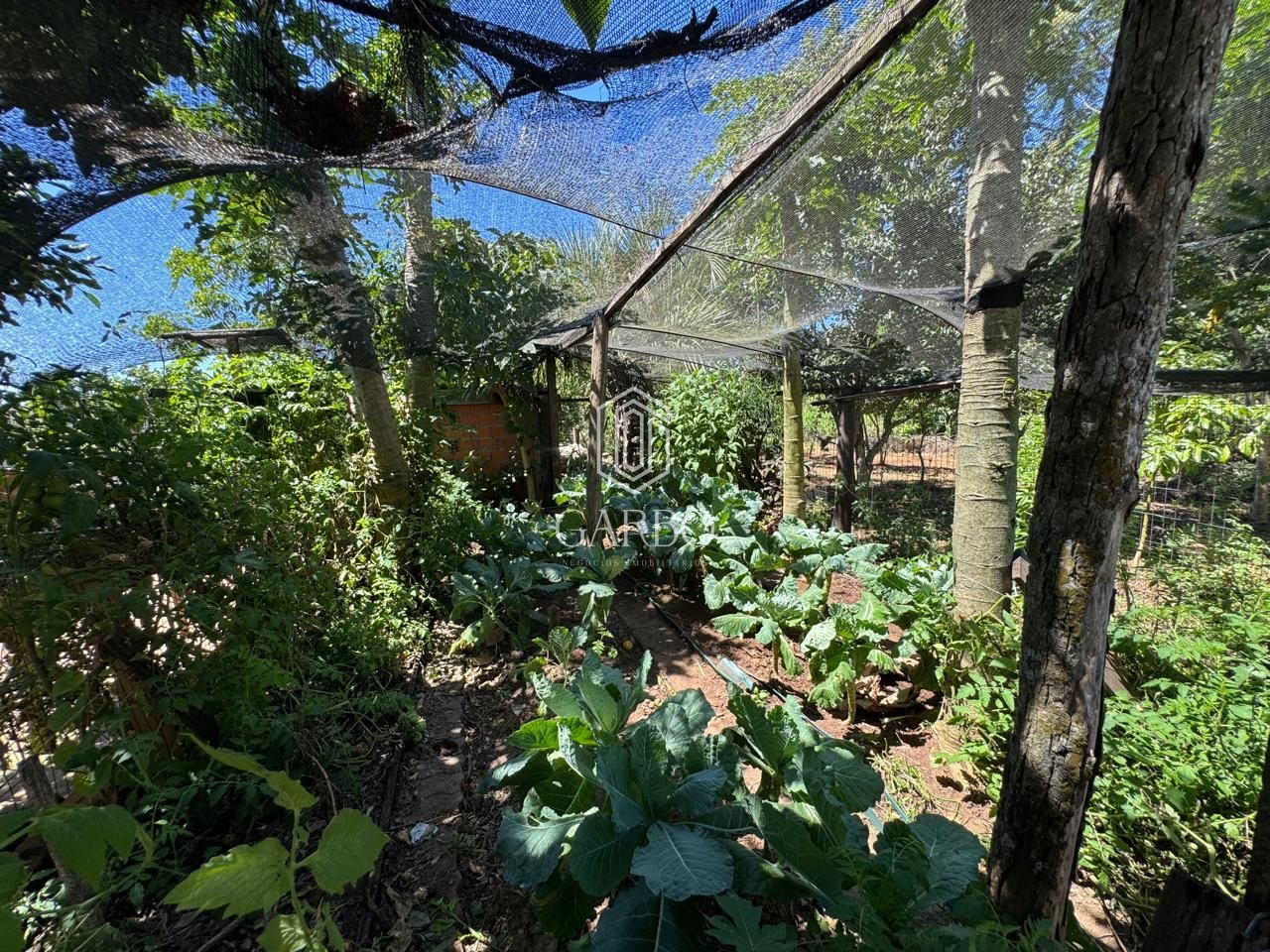 Chácara, 2 quartos, 1281 m² - Foto 28