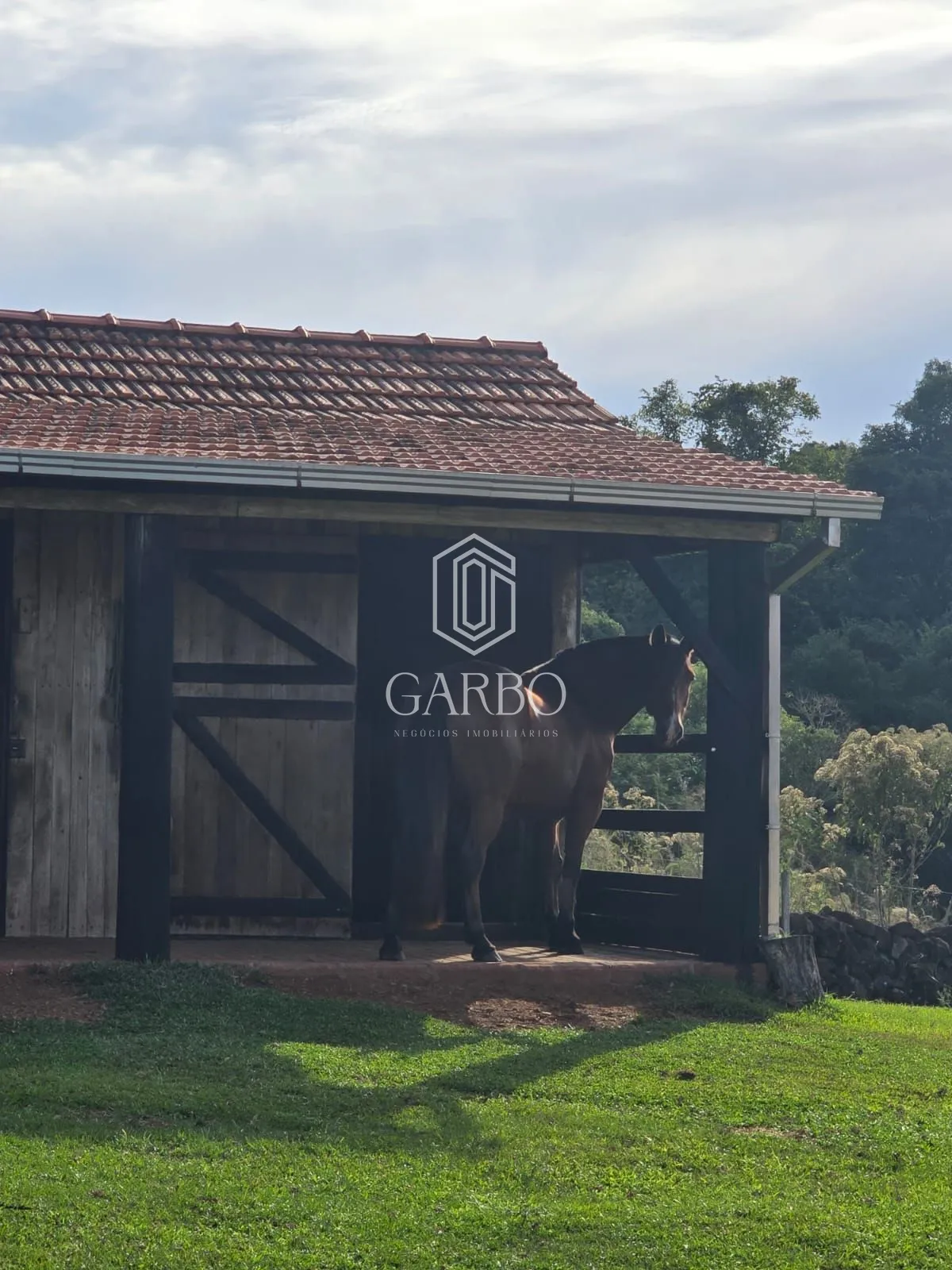 Sítio, 3 quartos, 5040 m² - Foto 15
